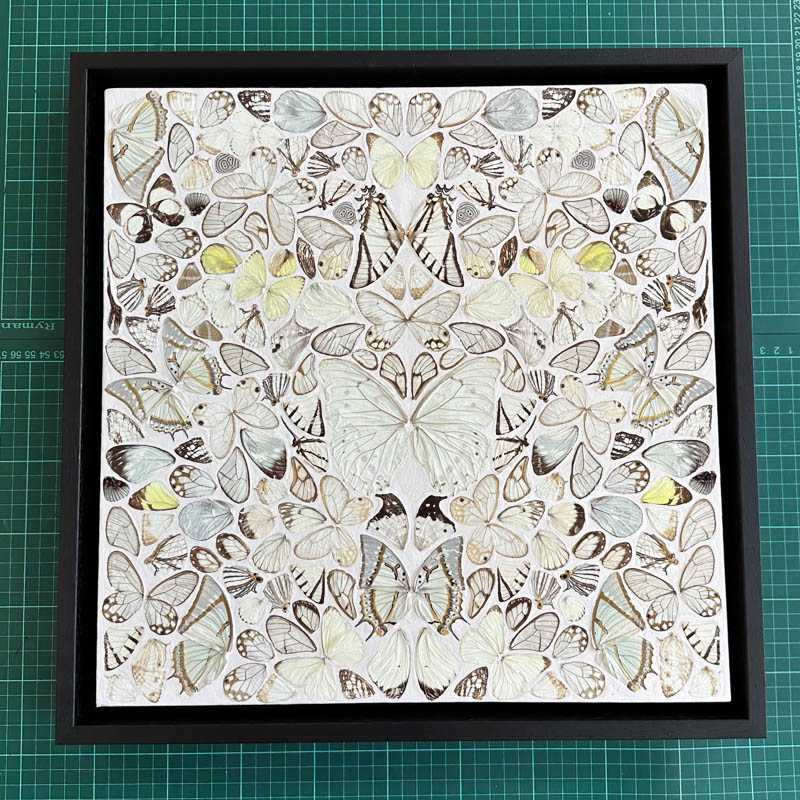 example picture frame black tray